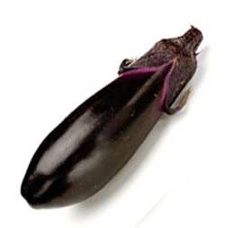 a03_088.jpg(12216 byte)